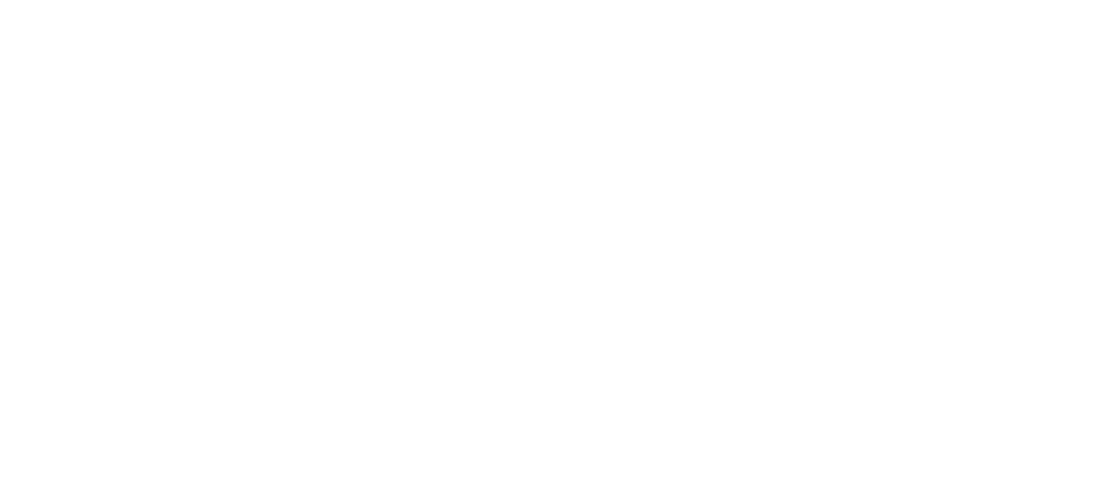 ANASARA ALPINE Logo